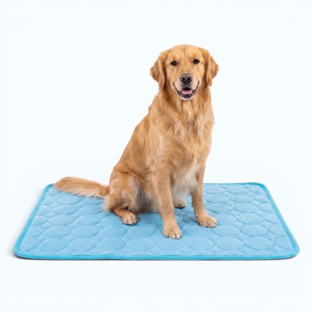 Ice Mat