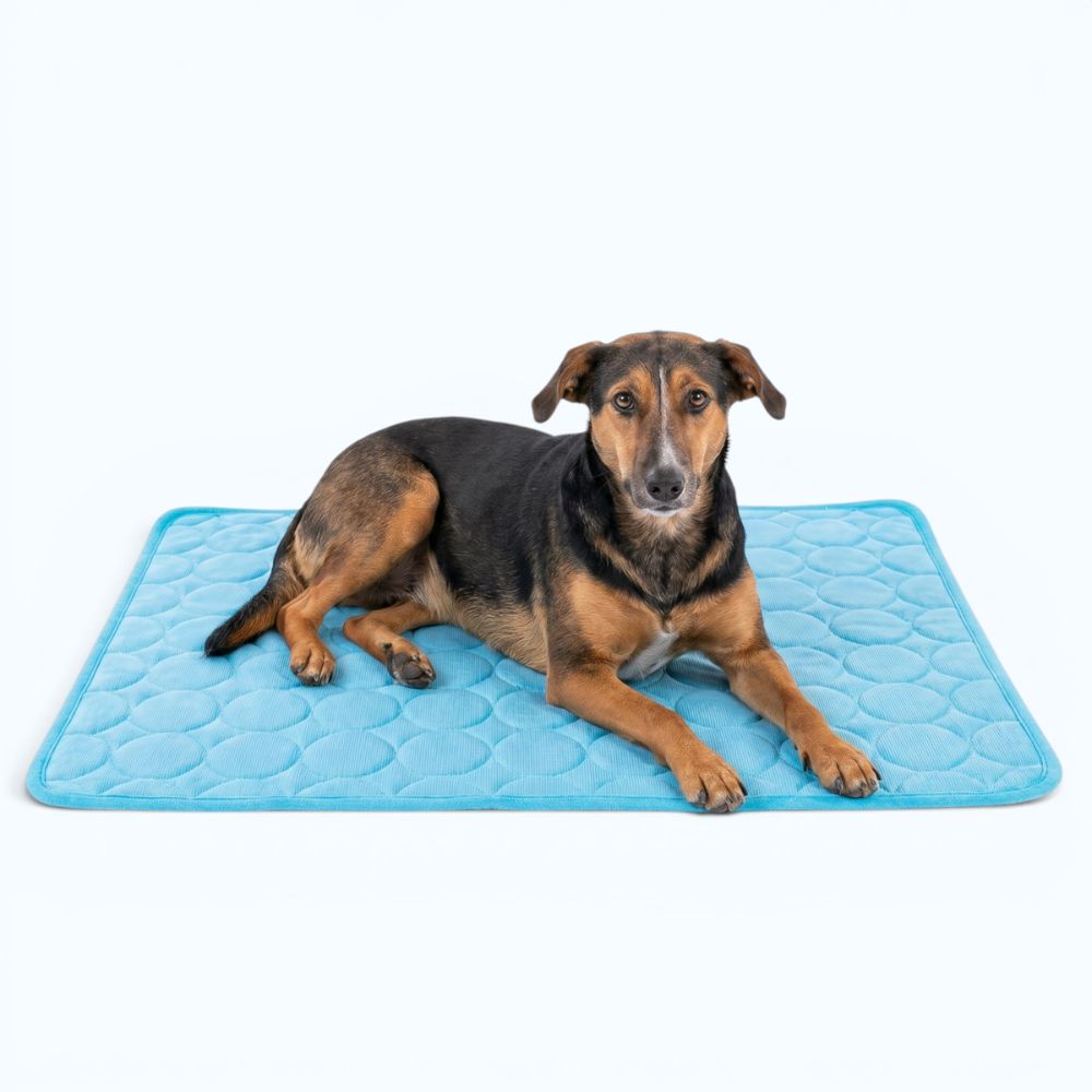 Ice Mat