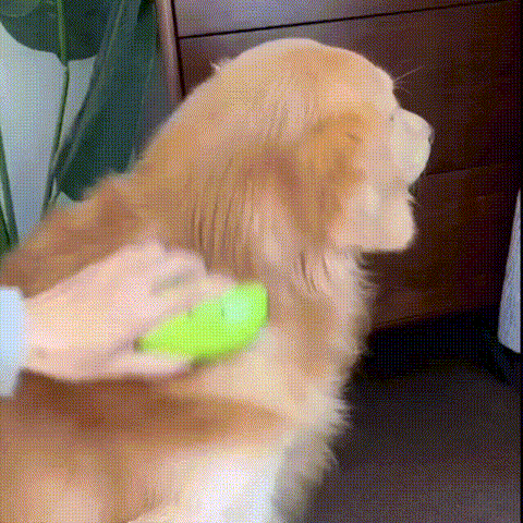Fresh Pet Brush®
