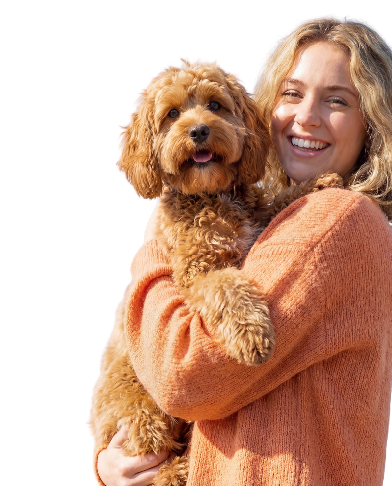 Your dog's mental wellness partner